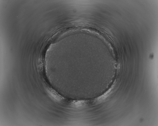 X0000116780186201001281129