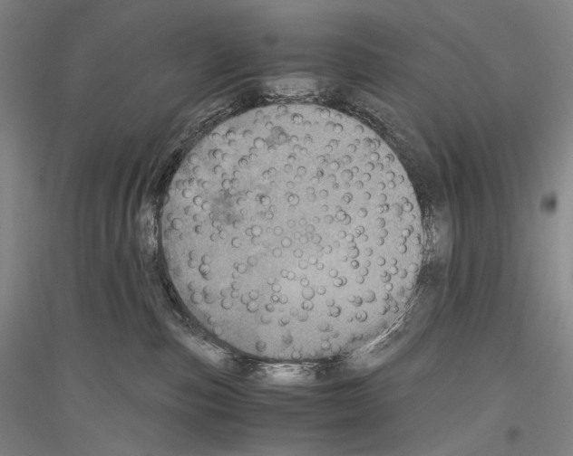 X0000116780187201001281129