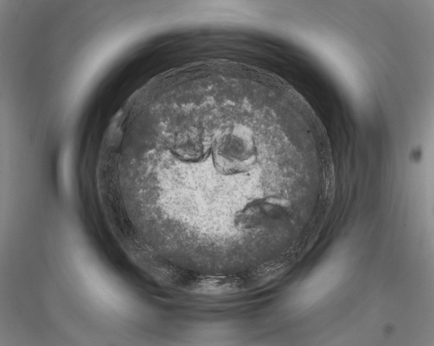 X0000116780189201001281129