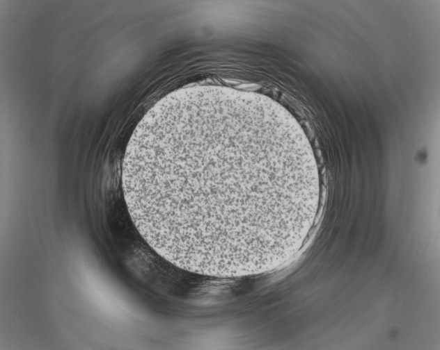 X0000116780190201001281129