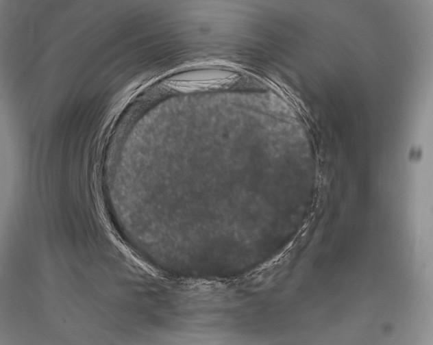 X0000116780193201001281129