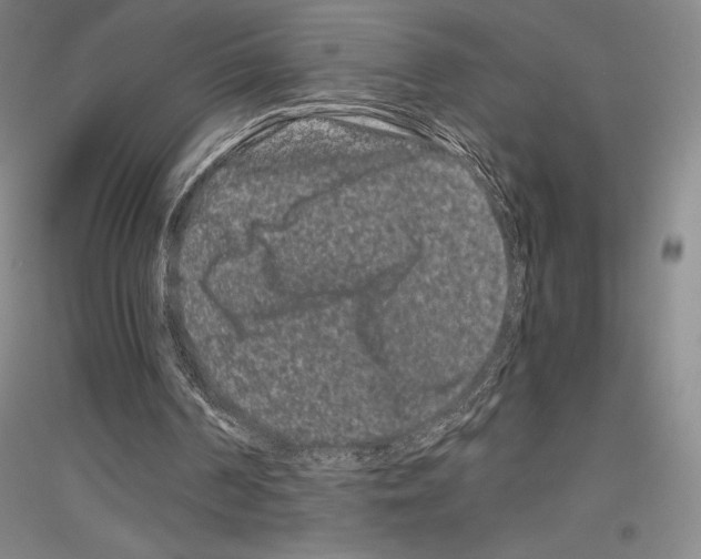 X0000116780194201001281129