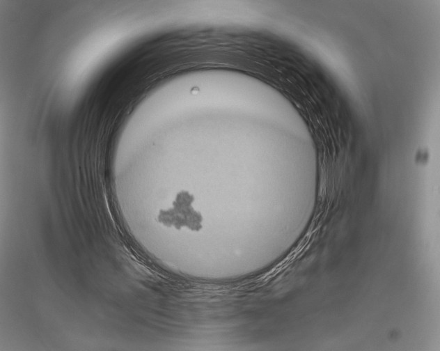 X0000116780195201001281128