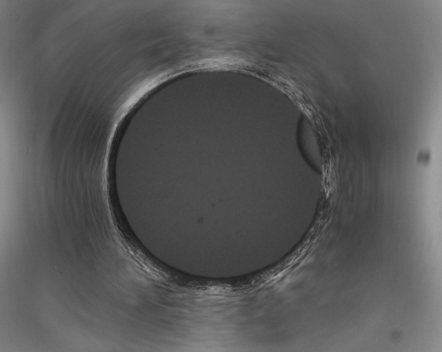 X0000116780196201001281128