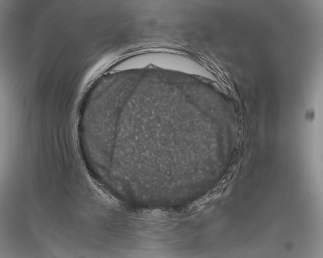 X0000116780197201001281128