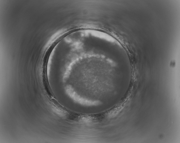 X0000116780199201001281128