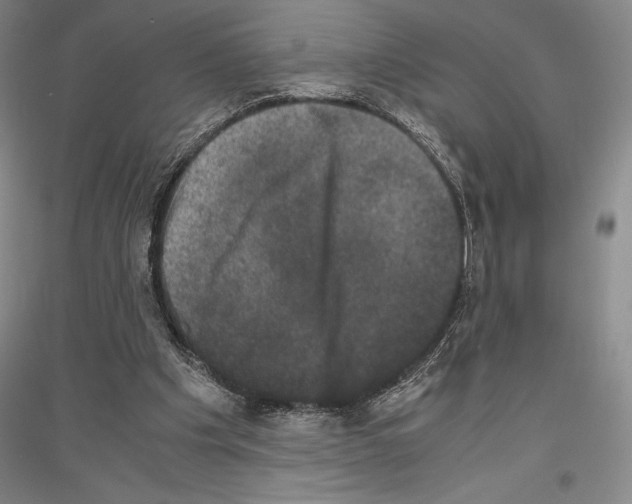 X0000116780201201001281128