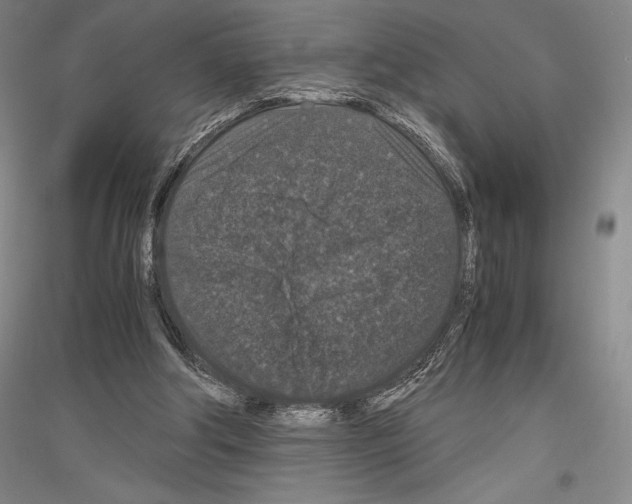 X0000116780202201001281128