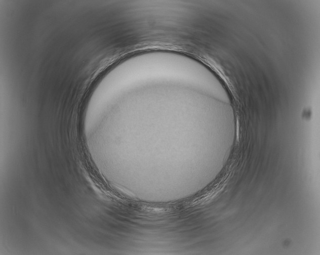 X0000116780205201001281128