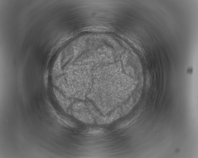 X0000116780206201001281128