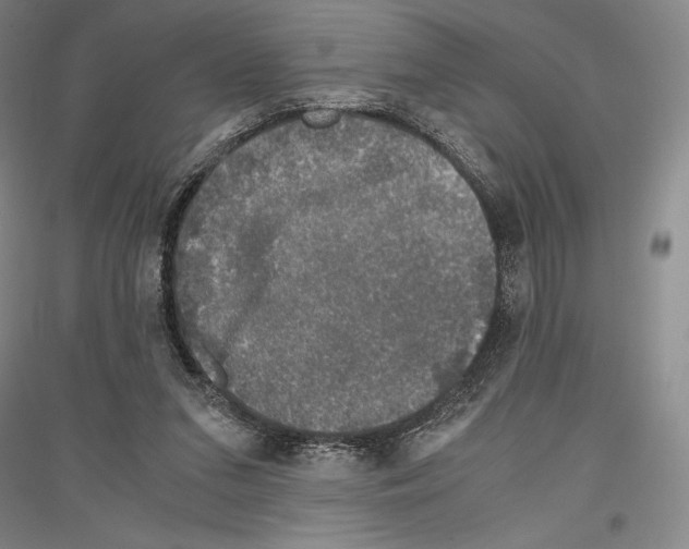 X0000116780207201001281128