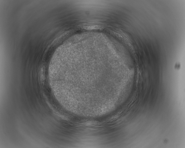 X0000116780210201001281128