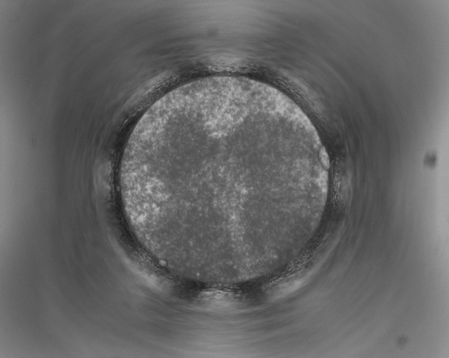 X0000116780211201001281128