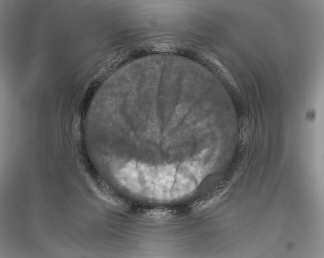 X0000116780213201001281128