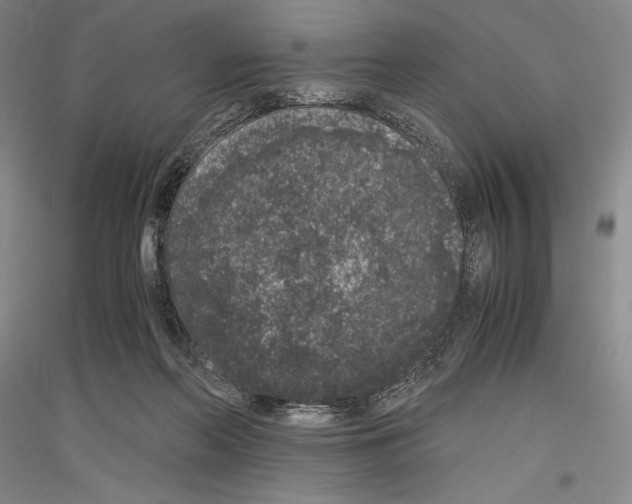 X0000116780214201001281128