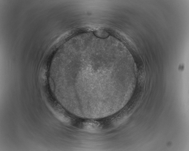 X0000116780215201001281128