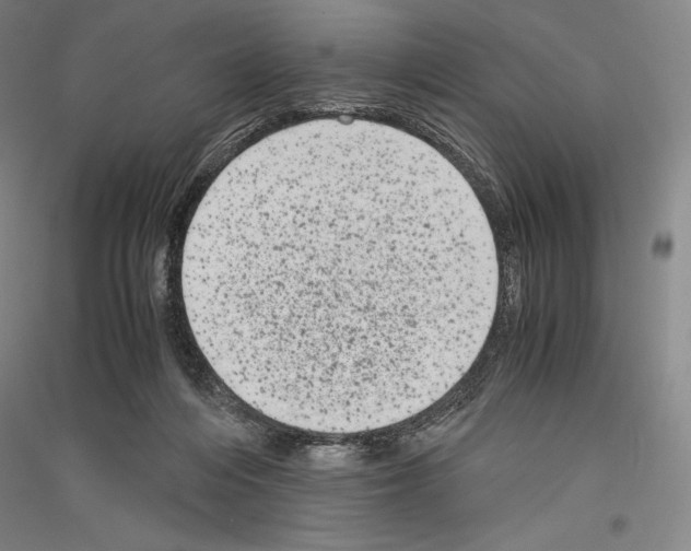 X0000116780216201001281128