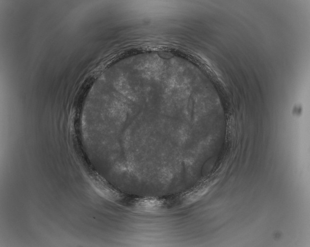 X0000116780217201001281128