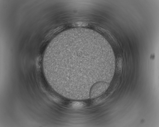 X0000116780218201001281128