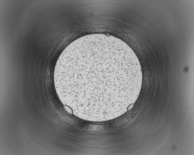 X0000116780220201001281128