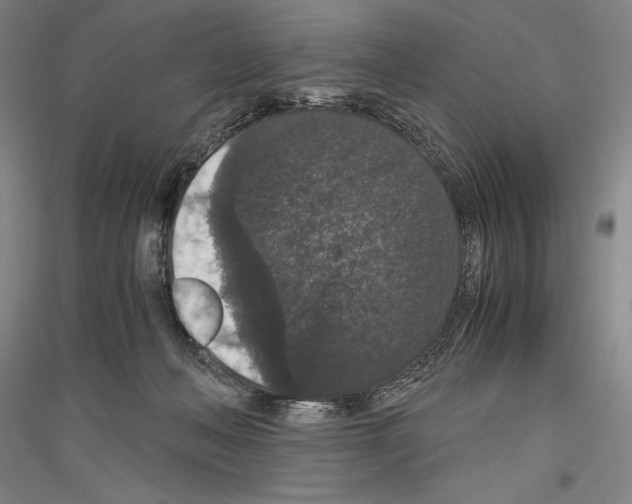 X0000116780222201001281128