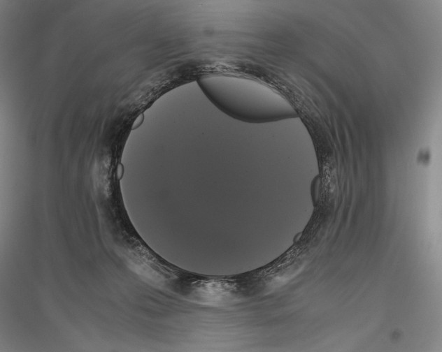 X0000116780223201001281128