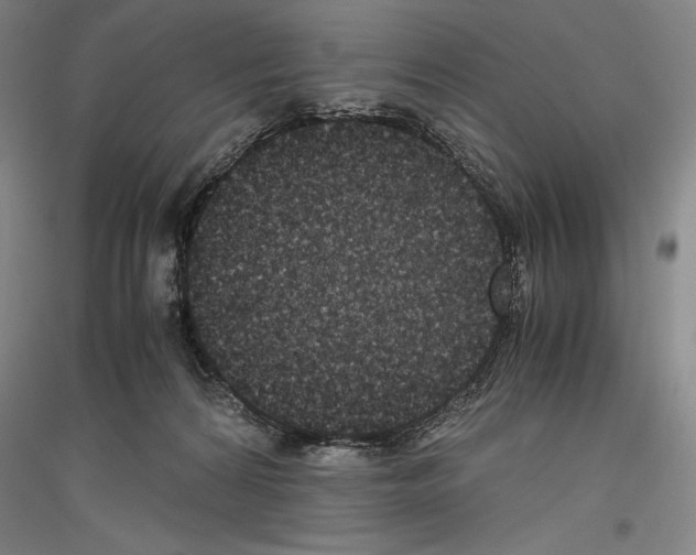 X0000116780224201001281128