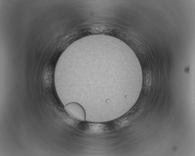 X0000116780226201001281128