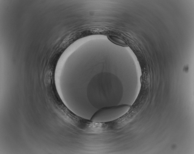 X0000116780227201001281128