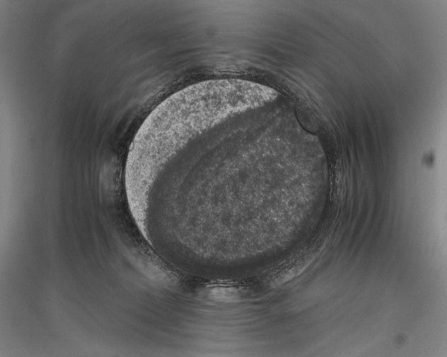 X0000116780228201001281128