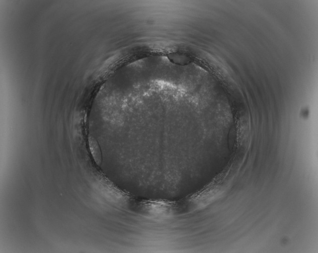 X0000116780229201001281128