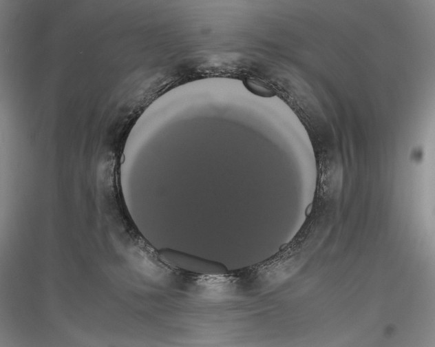 X0000116780231201001281128