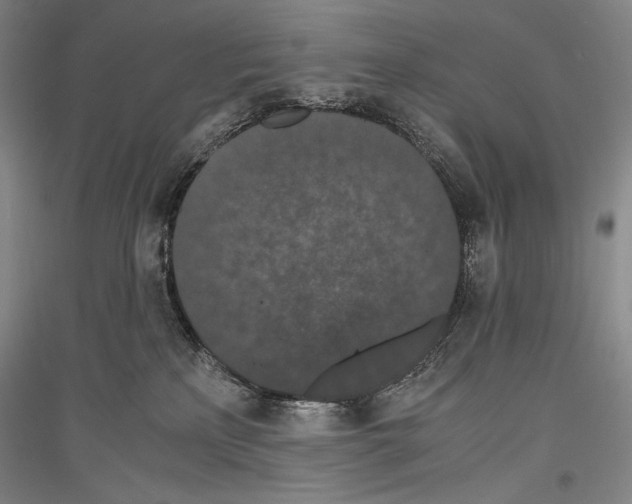 X0000116780233201001281128