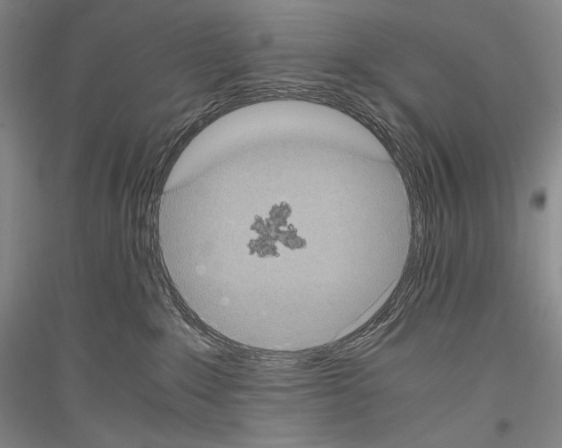 X0000116780235201001281128