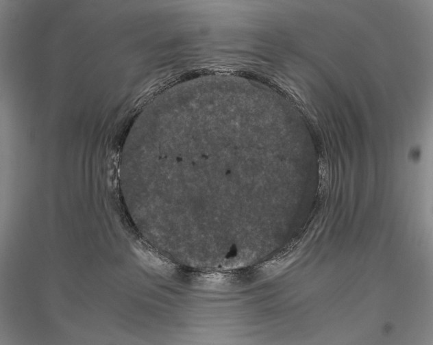 X0000116780237201001281128