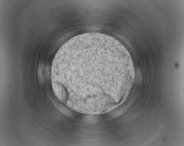 X0000116780238201001281128