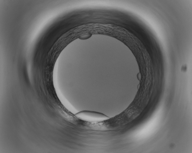 X0000116780239201001281128