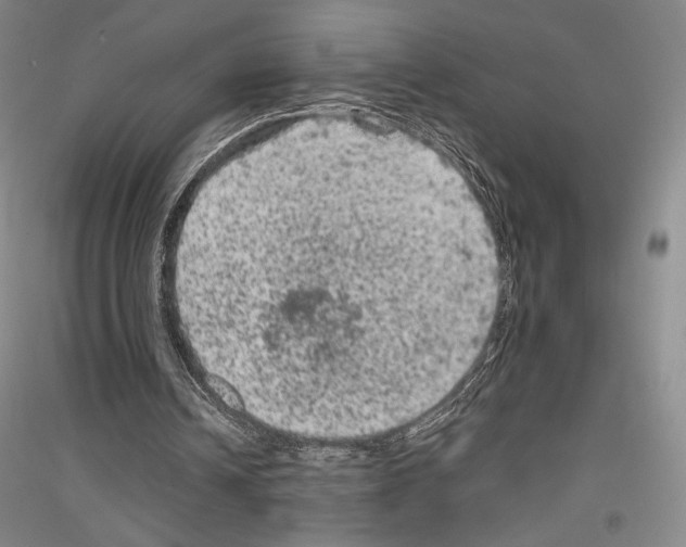 X0000116780242201001281127