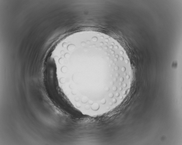 X0000116780243201001281127