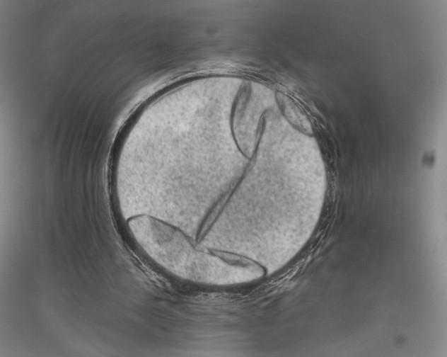 X0000116780244201001281127