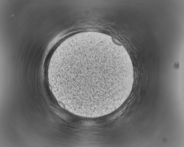 X0000116780246201001281127