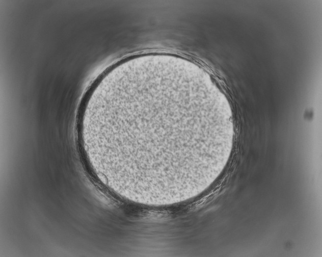 X0000116780248201001281127