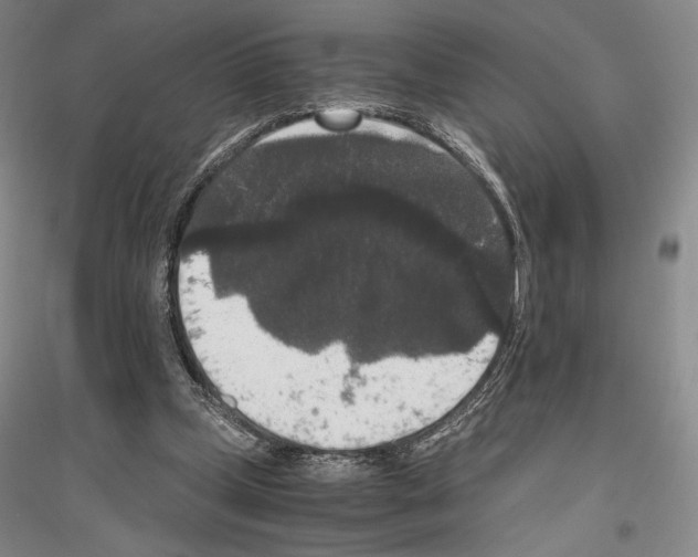 X0000116780249201001281127