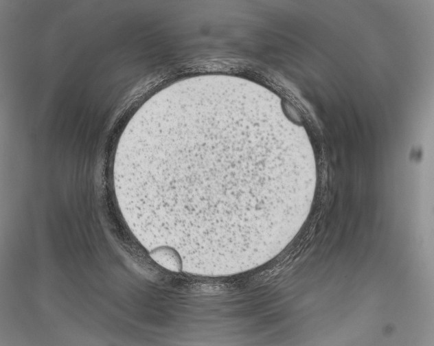 X0000116780250201001281127