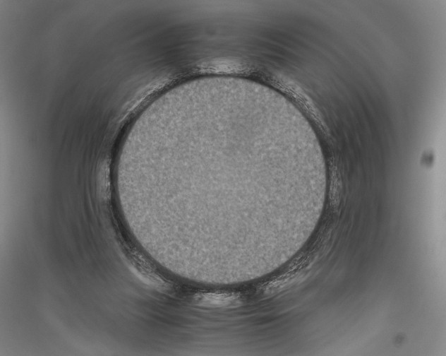 X0000116780251201001281127