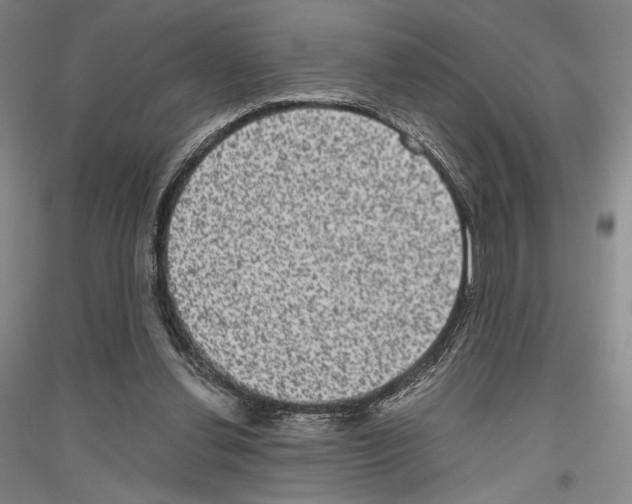 X0000116780252201001281127