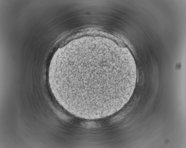 X0000116780253201001281127