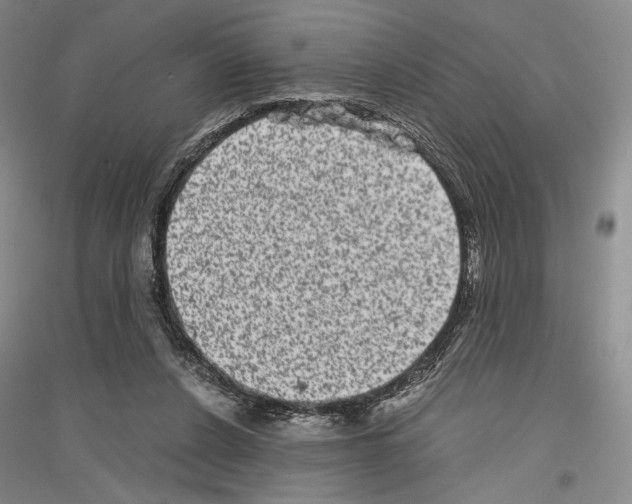 X0000116780256201001281127