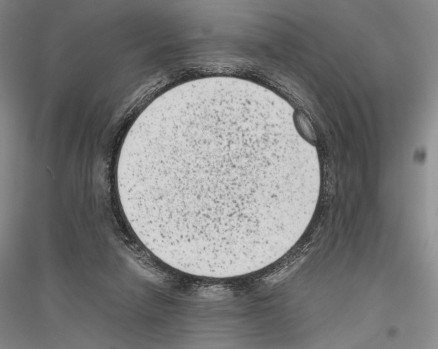 X0000116780258201001281127