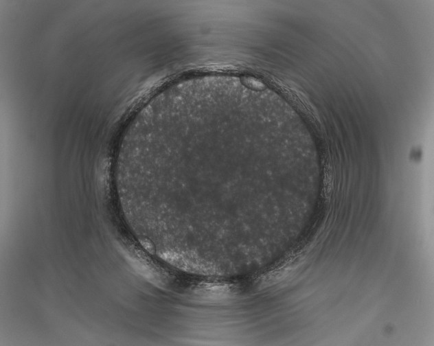 X0000116780260201001281127